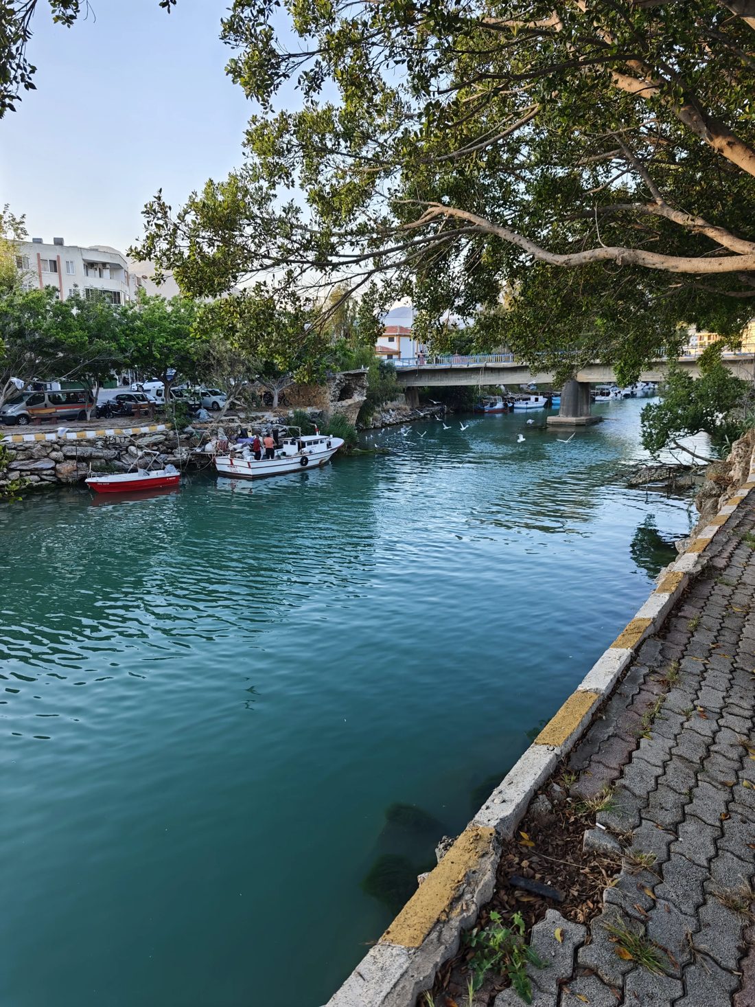 Bozyazı balıkçı kanalı ve tekneler